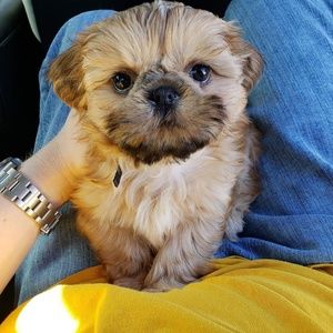 Meet your Posher, Amy